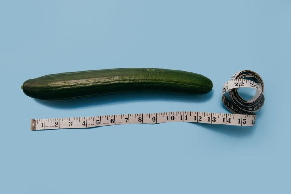 Measurement of the penis size using the example of a cucumber