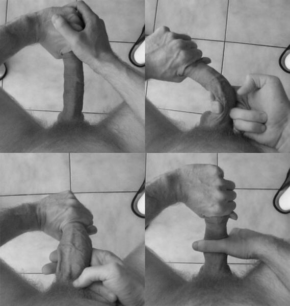 Penis flexion to increase the size of the organ